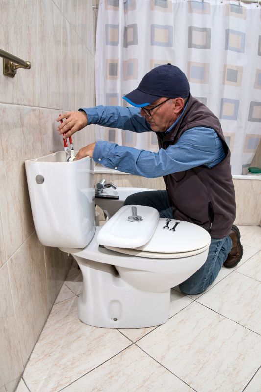 Toilet Repair